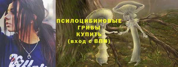 хмурый Алексин