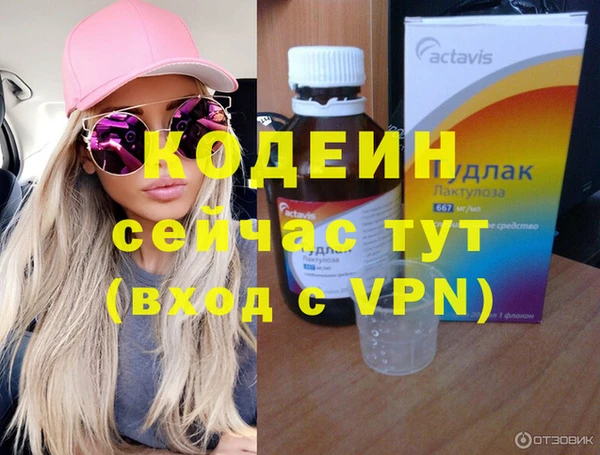 хмурый Алексин