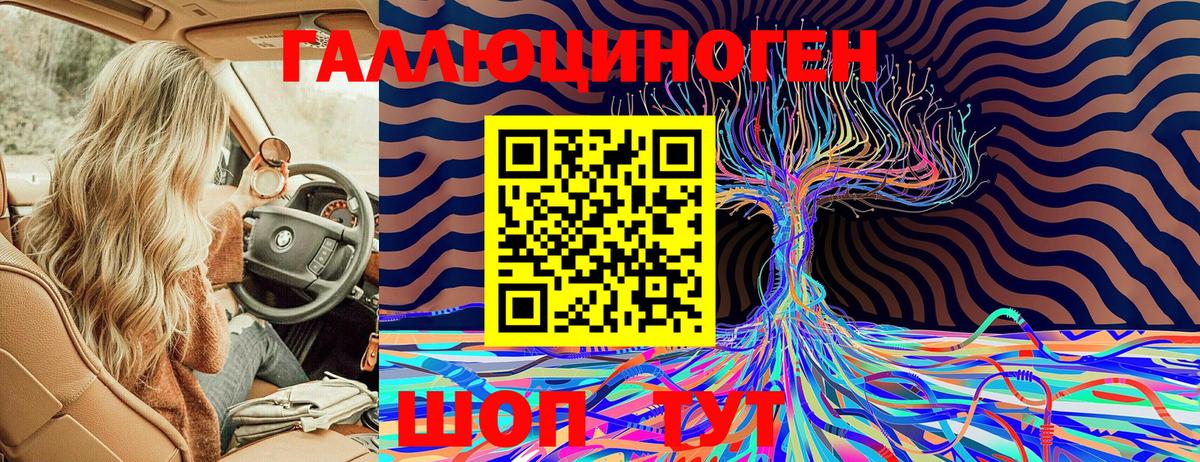 Галлюциногенные грибы Биробиджан