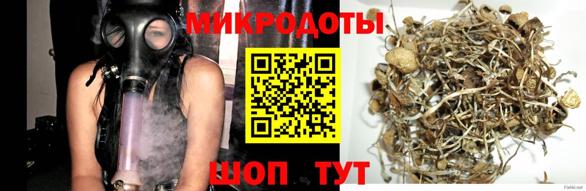 где купить наркоту  Вход с VPN  Биробиджан  Галлюциногенные грибы Psilocybe 